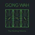 Gong Wah