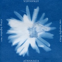 El desig d'esfondrar murs - Athanàgia