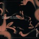 Bloom feat Paul Brenning Single