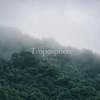 Troposphere