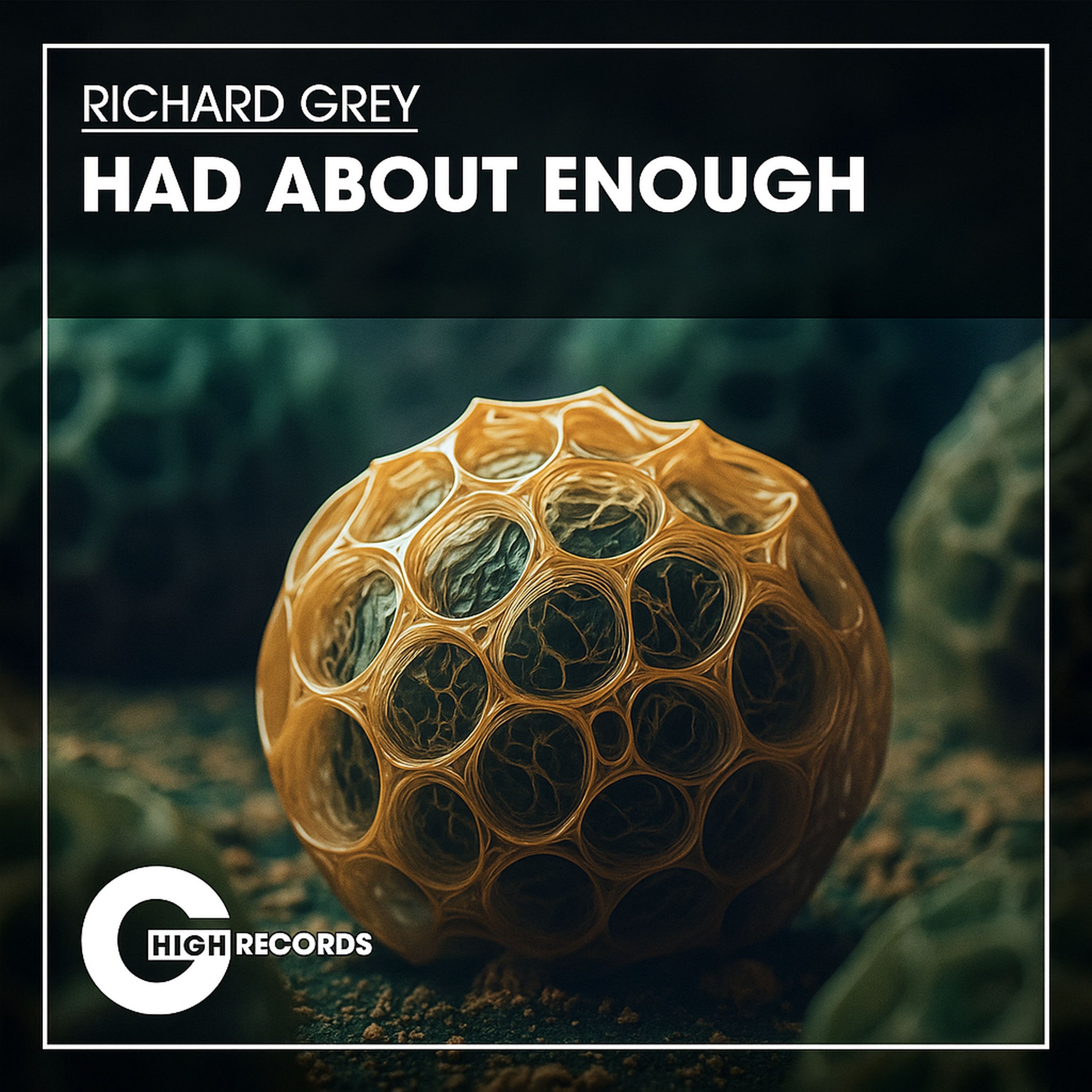 Had About Enough - Single