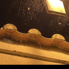 Poslední Výstřel ONDRA