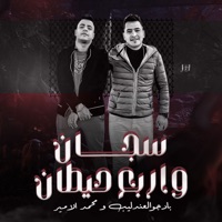 سجان واربع حيطان - Single - بادجو العندليب & محمد الامير