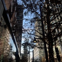 Absence - Single - Recourse