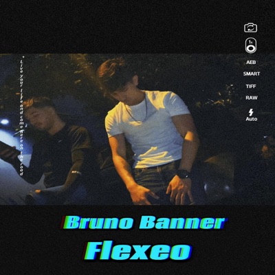 Flexeo - Single