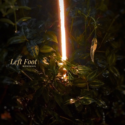 Left Foot - Single