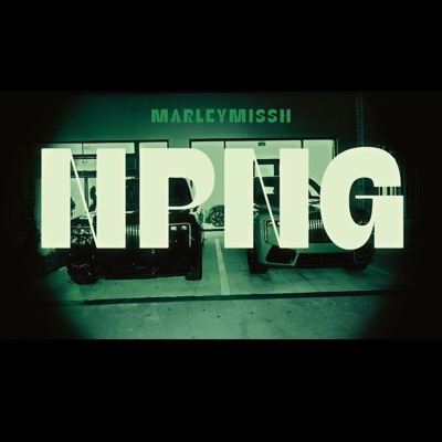 NPNG - Single