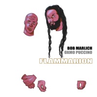 Flammarion - Single - Bob Marlich & Oxmo Puccino