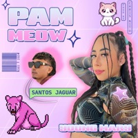 Pam Meow - Single - Santos Jaguar