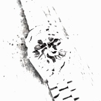 Not Done Yet! - Single - Reeno