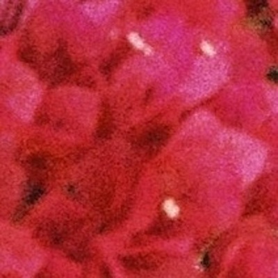 Someone In Love - Single