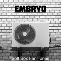 Soft Box Fan Tones - Single - Embryo