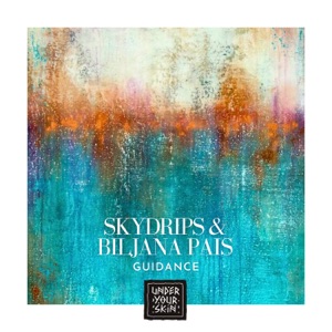 Guidance - Single