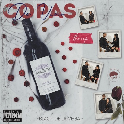 COPAS DE VINO - Single