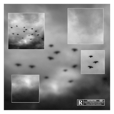 Paradox (feat. Hawk) - Single