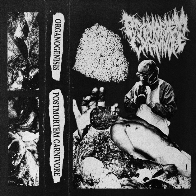 Demo 2025 - EP - Album by Postmortem Carnivore - Apple Music