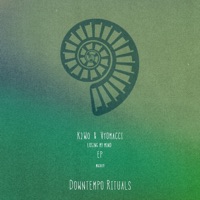 Losing My Mind - Single - Vyomacci & K2W0