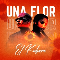 Una flor - Single - El Kubano
