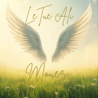 Le Tue Ali