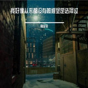 我好像从来都没有被谁坚定选择过 - Single
