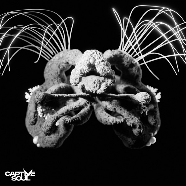 Motive - Single