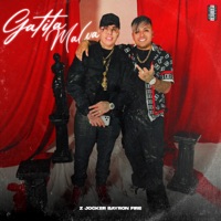 Gatita Malva - Single