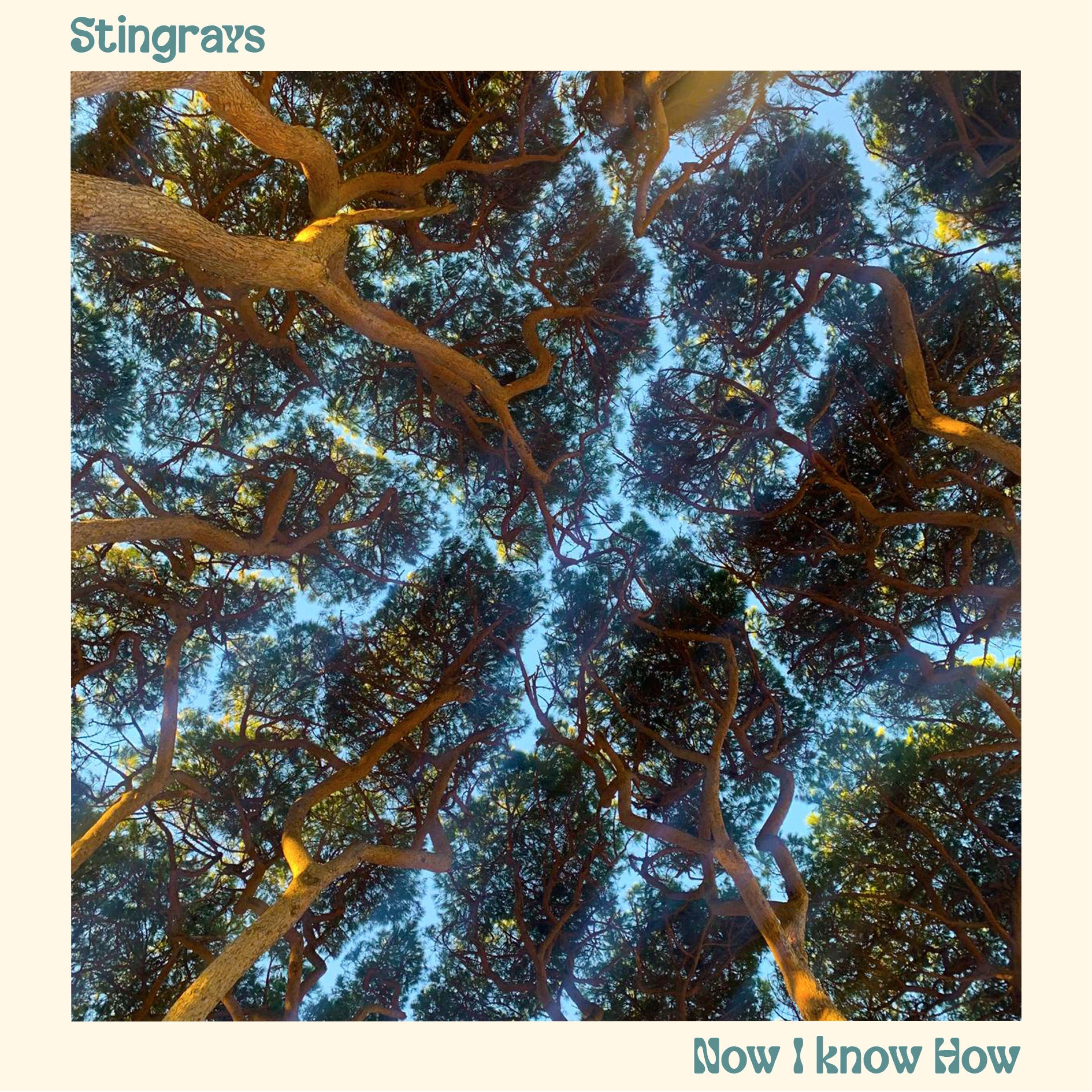 Now I know How - Single