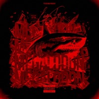 MEGALODON - Laur Tys
