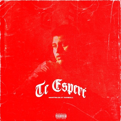 Te Esperé (feat. Randall) - Single