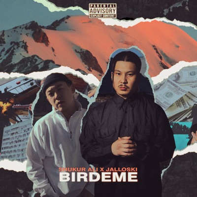 Birdeme - Single