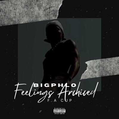 FEELINGS ARCHIVED (F.A CUP) - EP