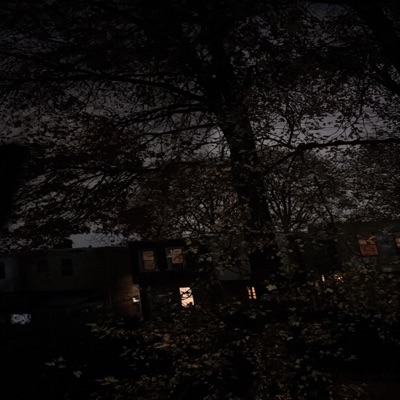 Demi Lovato - Single