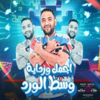 اجمل وردايه وسط الورد - Single - Mody Amin