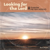 Looking For The Lord (feat. Poems Of Grace) - Single - Joel Payne
