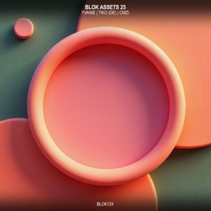 BLOK ASSETS 25 - Single