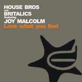 Love What You Feel (house bros back to disco edit) artwork