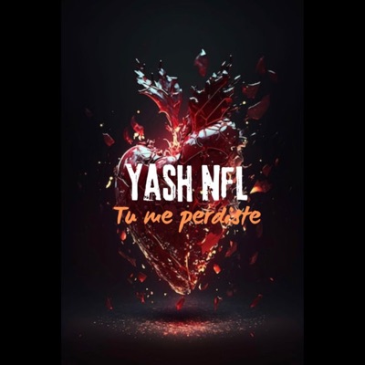 Tu Me Perdiste - Single