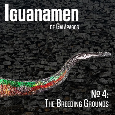 № 4: The Breeding Grounds