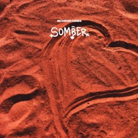 Somber (feat. Alana) - Single - Brandon Gomes