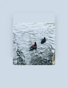 Dengarkan 苏球球, tonton video musik, baca bio, lihat tanggal tur & lainnya!