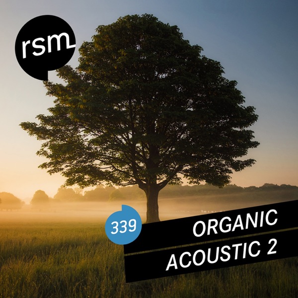 Organic Acoustic, Vol. 2