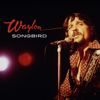 Waylon Jennings - Songbird  artwork