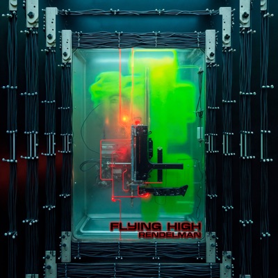 Flying High - Single
