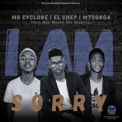 I am sorry - Single