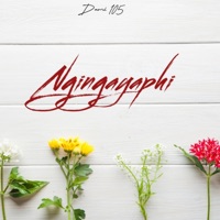 Ngingayaphi (feat. Smomo) - Single - Dumi 105