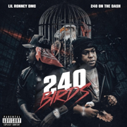 240 Birds - Lil Ronney DMC