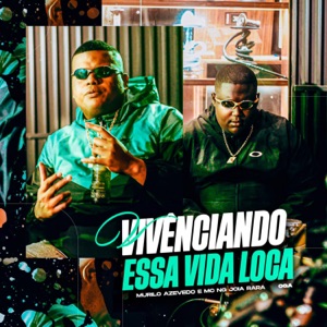 Vivenciando Essa Vida Louca (feat. MC NG Joia Rara)