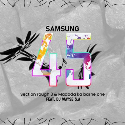 Samsung (feat. Section Rough 3 & Madoda Ka Barhe One) - Single