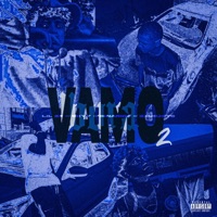 Vamo Bora 2 (feat. Lil Zé, Skyy_ & Zeus.hits) [Speed Version] - Single - Binario$