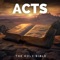 Acts Chapter Eleven: Gospel for Gentiles - The Holy Bible lyrics